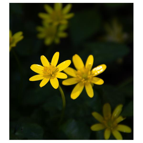 PHOTO84, CLUB, 84 , LUBERON